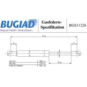 Gasfeder, Heckscheibe BGS11228 von BUGIAD günstig für 19,20 € online kaufen