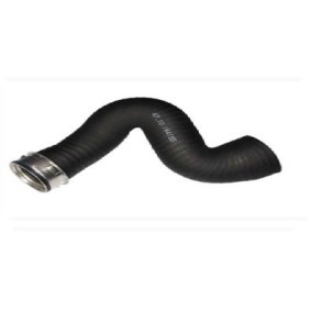 Wasserpumpe von BUGIAD günstig für 37,86 €