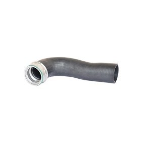 Acquista Modanatura paraurti da BUGIAD BSP20072 a buon mercato per soli 11,98 €
