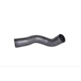 Comprar Suspensión, caja de cambios de BUGIAD BSP20244 a bajo precio de 16,33 €