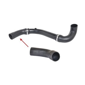 Acquista Testina braccio oscillante da BUGIAD BSP20522 a buon mercato per soli 31,10 €