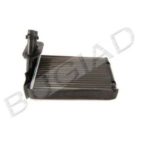 Comprar Radiador de calefacción de BUGIAD BSP20545 a bajo precio de 26,48 €
