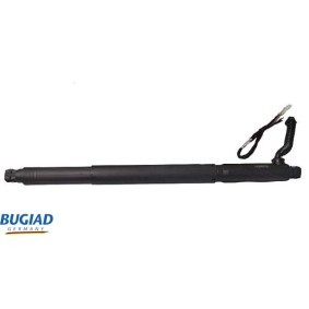Comprar Polea tensora, correa dentada de BUGIAD BSP20711 a bajo precio de 42,23 €