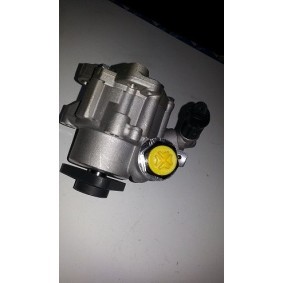 Servopumpe von BUGIAD