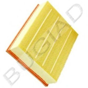 Luftfilter von BUGIAD BSP20848