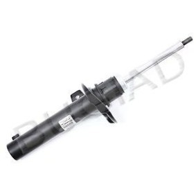 Stoßdämpfer von BUGIAD günstig für 85,16 €
