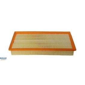 Köp Luftfilter av BUGIAD BSP21015 till det låga priset 203,29 kr