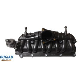 Luftfilter von BUGIAD BSP21019