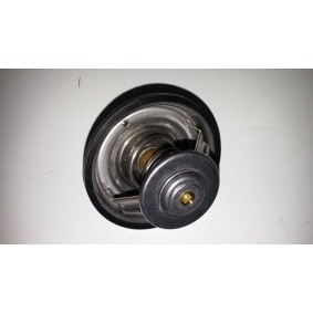 Thermostat, Kühlmittel von BUGIAD