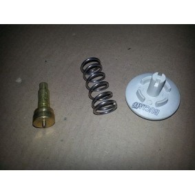Achetez des Thermostat BUGIAD BSP21564 à prix pour 20,02 €