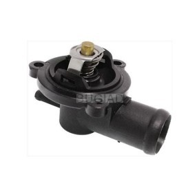 Thermostat, Kühlmittel von BUGIAD günstig für 17,06 €