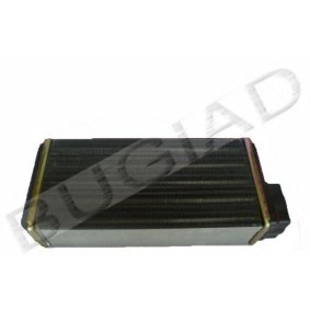 Comprar Radiador de calefacción de BUGIAD BSP21923 a bajo precio de 24,63 €