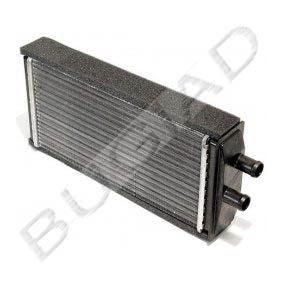 Comprar Radiador de calefacción de BUGIAD BSP21930 a bajo precio de 28,19 €