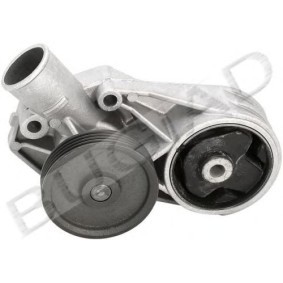 Wasserpumpe von BUGIAD günstig für 32,81 €