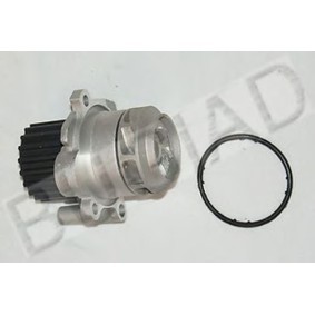 Achetez des Pompe à eau BUGIAD BSP22138 à prix pour 35,45 €