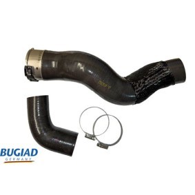 Acquista Supporto motore da BUGIAD BSP22290 a buon mercato per soli 62,83 €