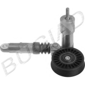 Compre Tensor de correia, correia trapezoidal estriada da BUGIAD BSP22421 a um preço baixo por 75,73 €
