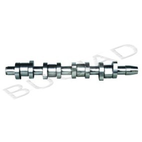 Acquista Albero a camme da BUGIAD BSP22541 a buon mercato per soli 129,64 €