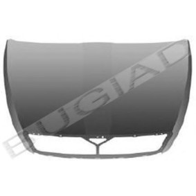 Achetez des Capot BUGIAD BSP22735 à prix pour 150,96 €