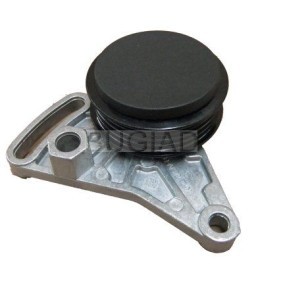Compre Tensor, correia trapezoidal estriada da BUGIAD BSP23024 a um preço baixo por 22,30 €
