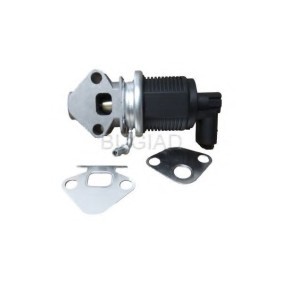 Comprar Válvula EGR de BUGIAD BSP23093 a bajo precio de 161,80 €