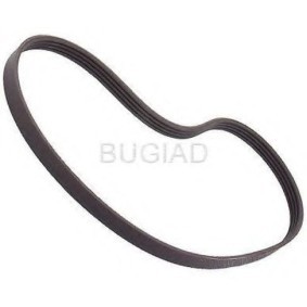 Achetez des Courroie Poly-V BUGIAD BSP23096 à prix pour 13,52 €
