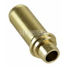 Comprar Guía de válvula de BUGIAD BSP23098 a bajo precio de 14,12 €
