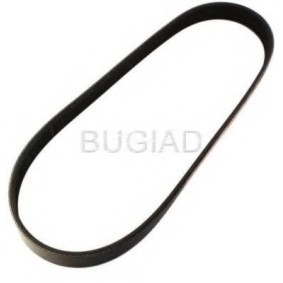 Achetez des Courroie Poly-V BUGIAD BSP23129 à prix pour 22,20 €