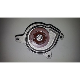 Achetez des Pompe à eau BUGIAD BSP23152 à prix pour 42,43 €