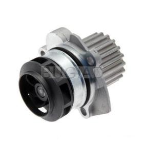 Achetez des Pompe à eau BUGIAD BSP23205 à prix pour 44,74 €
