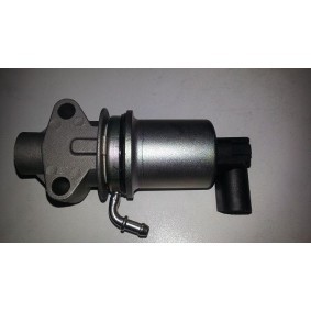 Comprar Válvula EGR de BUGIAD BSP23298 a bajo precio de 166,55 €