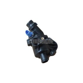 Achetez des Thermostat d'eau BUGIAD BSP23315 à prix pour 72,28 €