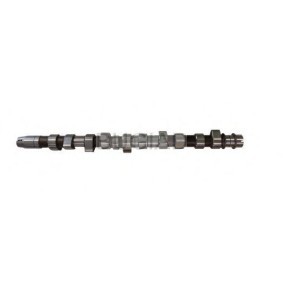 Acquista Albero a camme da BUGIAD BSP23344 a buon mercato per soli 137,58 €