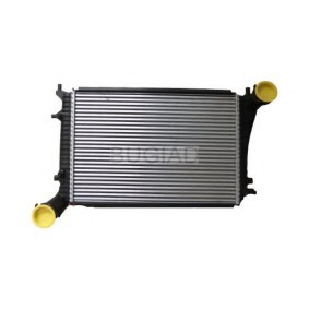 Ladeluftkühler von BUGIAD günstig für 198,05 €