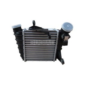 Ladeluftkühler von BUGIAD günstig für 139,68 €