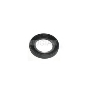 Acquista Paraolio albero a camme da BUGIAD BSP24341 a buon mercato per soli 8,25 €
