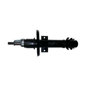 Stoßdämpfer von BUGIAD günstig für 76,13 €