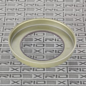 FORD ABS Ring von RIDEX