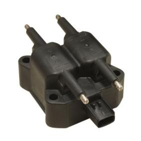 Zündspule 138820 für Cabrio (F57) für 72,72 CHF