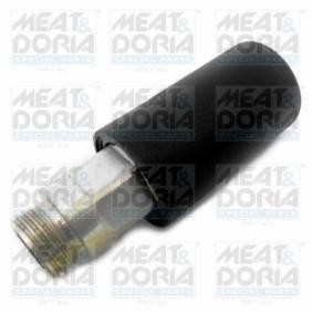 Pumpe, Kraftstoffvorförderung für MAN von MEAT & DORIA