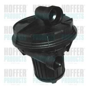 Sekundärluftpumpe von HOFFER 8029600
