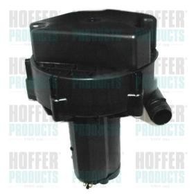 Sekundärluftpumpe 8029605 CHRYSLER CROSSFIRE von HOFFER