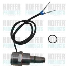 Achetez des Dispositif d'arrêt, système d'injection HOFFER 8029031 à prix pour 113,88 €