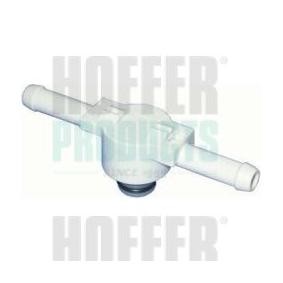 Compre Válvula, filtro de combustível da HOFFER 8029037 a um preço baixo por 12,06 €