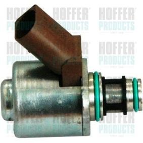 Achetez des Détendeur, système à rampe commune HOFFER 8029276 à prix pour 201,49 €