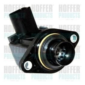 Achetez des Valve d'air de circulation, compresseur HOFFER 8029323 à prix pour 76,20 €