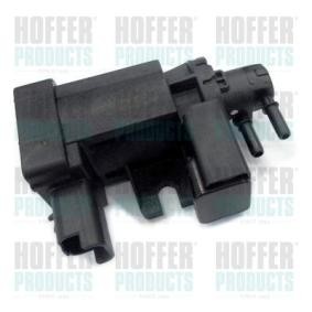 Compre Transmissor de pressão, controlo dos gases de escape da HOFFER 8029082 a um preço baixo por 71,33 €