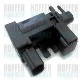 Acquista Convertitore pressione, Turbocompressore da HOFFER 8029096 a buon mercato per soli 66,27 €
