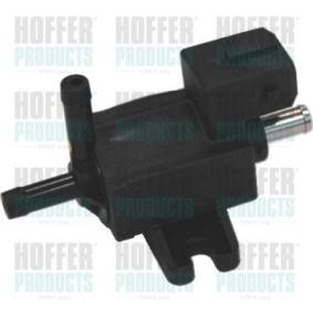 Acquista Convertitore pressione, Controllo gas scarico da HOFFER 8029148 a buon mercato per soli 37,64 €