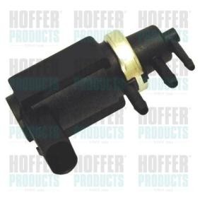 Acquista Convertitore pressione, Controllo gas scarico da HOFFER 8029235 a buon mercato per soli 76,73 €